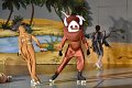 Lionking 0272